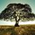 Michele Snedden's profile image