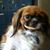 Michele Shelly Shorten's profile image