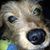 Rob Balmer's profile image