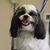 Ann Miller Leymaster's profile image