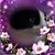 Pam Morris's profile image