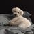 Patty Sichort's profile image
