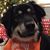 Raven Thibodeaux Waguespack's profile image