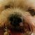 John Sharpe's profile image