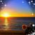 Alan Carpenter's profile image