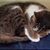 Dottie Mar's profile image