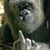 Jeremy Martin's profile image