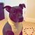 Janine Farry's profile image