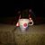 Annegret Stolz's profile image