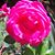 Carolina Aguilar's profile image