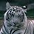 Walter A. Bush Jr.'s profile image