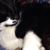 Erika Hauch's profile image