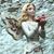 Brenda Lee's profile image
