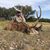 Darin Gray's profile image