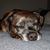 Charles W. Bace III's profile image