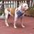 Jaxson Diesel's profile image