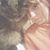Dannie Rae's profile image