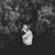 Jill Wieskamp Elswick's profile image