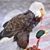 Jeffrey K Turner's profile image
