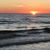 Michele Kivisto Bertolini's profile image