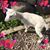 Birgit-Marie Silword's profile image