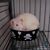 Bridget Nieto's profile image