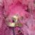 Jeni Dees's profile image