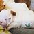 Lynette Spaley's profile image