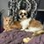 Jennifer Kirkpatrick's profile image