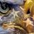 James K Hilton's profile image