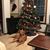 Mary Alazam's profile image