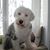 Jane Bruce's profile image
