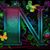 Nancy Graff Aidinian's profile image