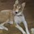 Moore Norma's profile image
