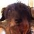 Janet L. Swaim's profile image