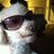 Esti Toboul's profile image