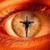 Kingzkid Bloodbought's profile image