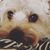 Kim Hooper's profile image