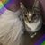Cory Dory's profile image
