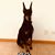Judie Seyller's profile image