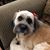 Myrna Herzog's profile image