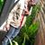 Casey White's profile image