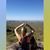 Deb Thompson's profile image