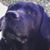 Jorge Medina's profile image