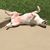 Maureen Shimmon Leon's profile image