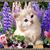 Huỳnh Hoa's profile image