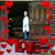 Carolyn Gross's profile image