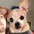 Gena Curtis Claytor's profile image