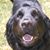 Richard Crook's profile image