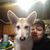 Dakota Skaggs's profile image